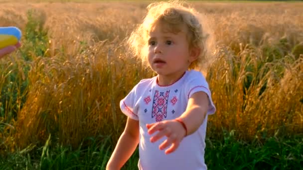 Ukrayna Bayrağıyla Buğday Tarlasında Bir Çocuk Seçici Odaklanma Doğa — Stok video