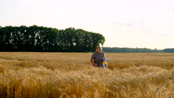 Agriculteur Dans Champ Chèques Blé Concentration Sélective Nature — Video