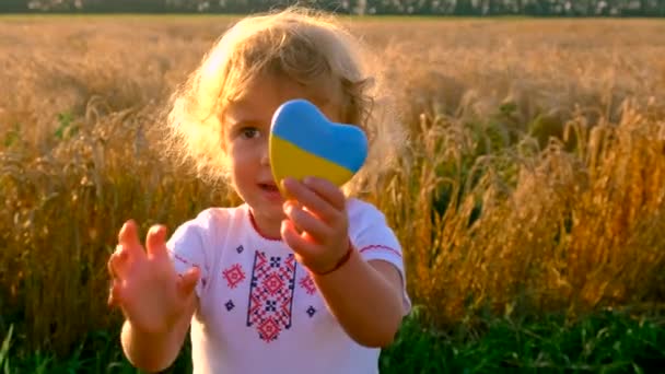 Kind Een Veld Van Tarwe Met Vlag Van Oekraïne Selectieve — Stockvideo