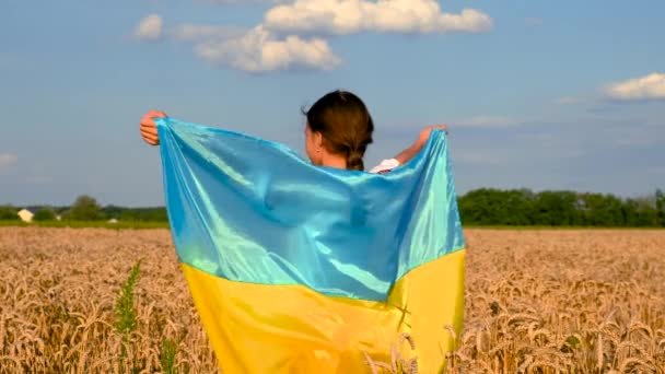 Kind Een Veld Van Tarwe Met Vlag Van Oekraïne Selectieve — Stockvideo