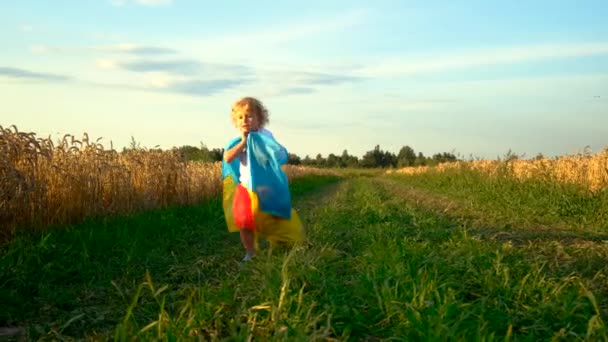 Dziecko Polu Pszenicy Flagą Ukrainy Wybiórcze Skupienie Dzieciaku — Wideo stockowe