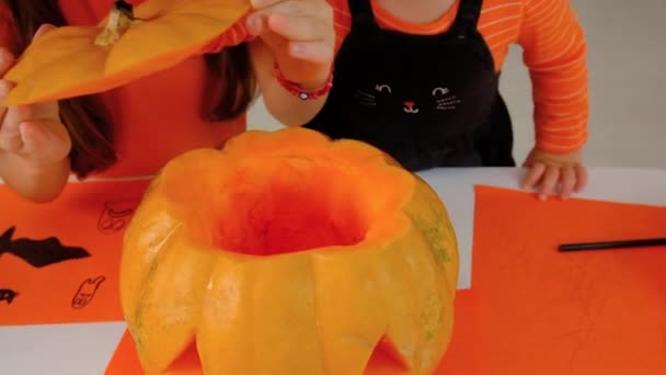 Halloween Holiday Child Pumpkin Selective Focus Happy — Stock Video