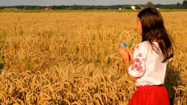 Kind Auf Einem Weizenfeld Mit Der Flagge Der Ukraine Selektiver — Stockvideo