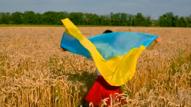 Дитина Полі Пшениці Прапором України Вибірковий Фокус Хлопчик — стокове відео