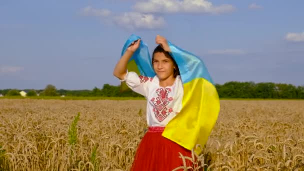 Dítě Poli Pšenice Vlajkou Ukrajiny Selektivní Soustředění Kluk — Stock video