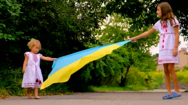 Niño Con Una Camisa Bordada Patriotas Ucrania Con Una Bandera — Vídeo de stock