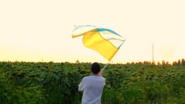 Ayçiçeği tarlasında Ukrayna bayrağı taşıyan bir adam. Seçici odaklanma. Doğa.
