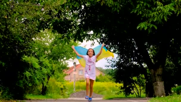 Niño Con Una Camisa Bordada Patriotas Ucrania Con Una Bandera — Vídeos de Stock