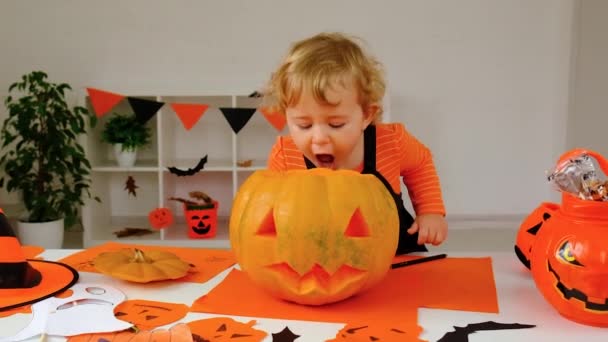 Halloween Urlaubskind Und Kürbis Selektiver Fokus Glücklich — Stockvideo