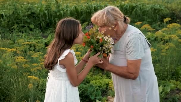 Grandmother Granddaughter Medicinal Herbs Selective Focus Nature — Stock Video