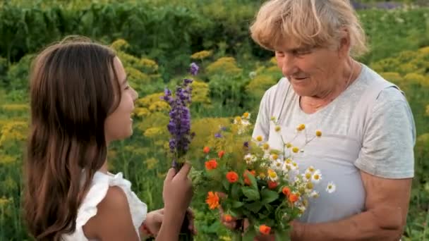 Babička Vnučka Léčivými Bylinkami Selektivní Soustředění Nature — Stock video