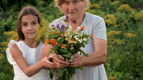 Бабушка Внучка Лекарственными Травами Выборочный Фокус Природа — стоковое видео