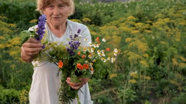 Grandmother Medicinal Herbs Selective Focus Nature — Stock Video