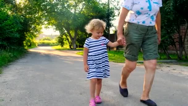 Grandmother Goes Hand Hand Her Granddaughter Selective Focus Nature — Stock Video
