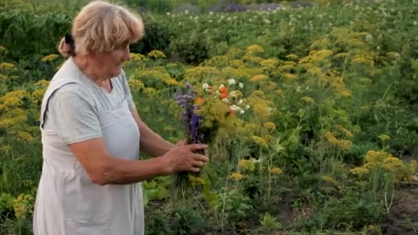 Бабушка Лекарственными Травами Выборочный Фокус Природа — стоковое видео