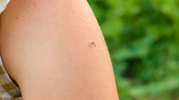 Mosquito Morde Mão Para Matar Foco Seletivo Natureza — Vídeo de Stock