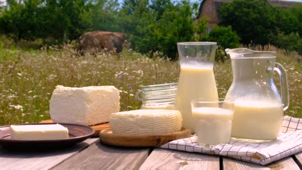 牛乳や乳製品を農場で販売しています 選択的な焦点 フード — ストック動画