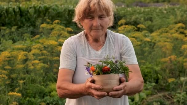 Grandmother Medicinal Herbs Selective Focus Nature — Stock Video