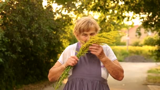 Uma Mulher Velha Alérgica Ragweed Foco Seletivo Natureza — Vídeo de Stock
