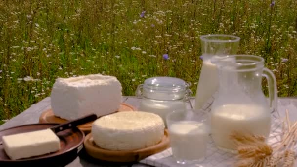 Mleko Krowie Przetwory Mleczne Gospodarstwie Wybiórcze Skupienie Żywność — Wideo stockowe