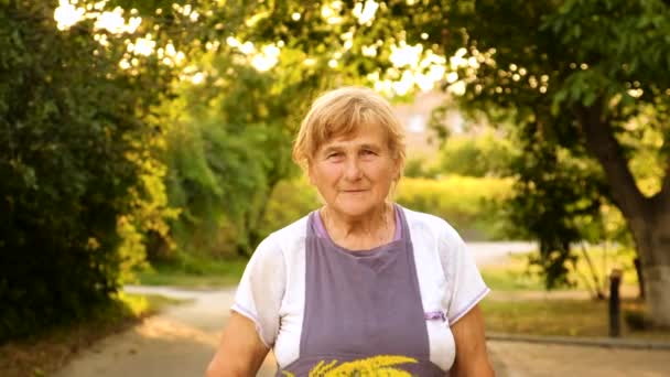Yaşlı Bir Kadının Yabani Otlara Alerjisi Var Seçici Odaklanma Doğa — Stok video