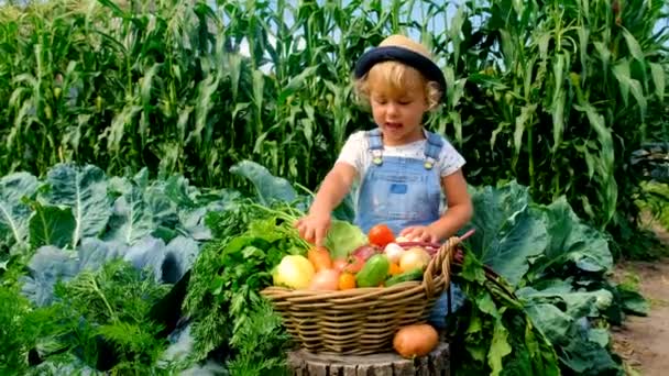 Дитина Овочами Саду Вибірковий Фокус Природа — стокове відео