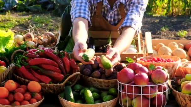 Jordbrukaren Säljer Frukt Och Grönsaker Marknaden Selektivt Fokus Livsmedel — Stockvideo