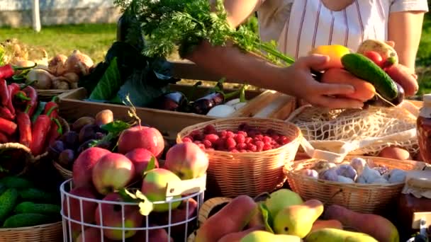 Kvinnlig Bonde Säljer Frukt Och Grönsaker Lantbruksmarknad Selektivt Fokus Livsmedel — Stockvideo
