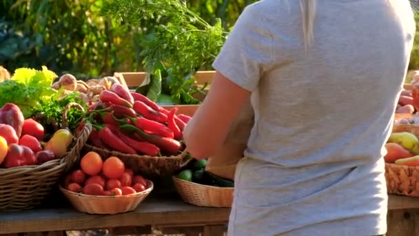 Woman Buys Fruits Vegetables Farmers Market Selective Focus Food — Stock Video
