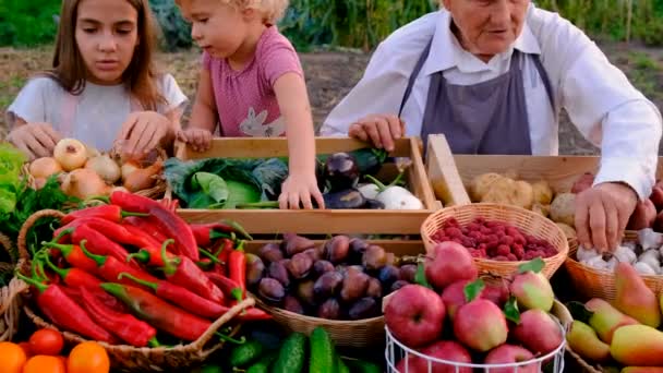祖母和孙女在农贸市场上出售蔬菜和水果 有选择的重点 — 图库视频影像