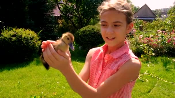 Des Enfants Avec Canard Main Concentration Sélective Animal — Video