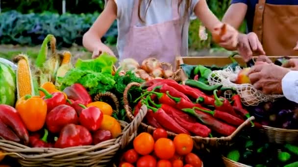 Padre Figlia Vendono Frutta Verdura Mercato Agricolo Concentrazione Selettiva Cibo — Video Stock