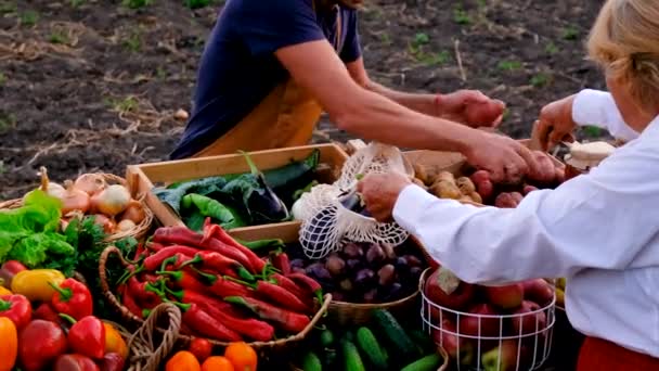 Çiftçi Çiftçi Pazarında Meyve Sebze Satar Seçici Odaklanma Yiyecek — Stok video