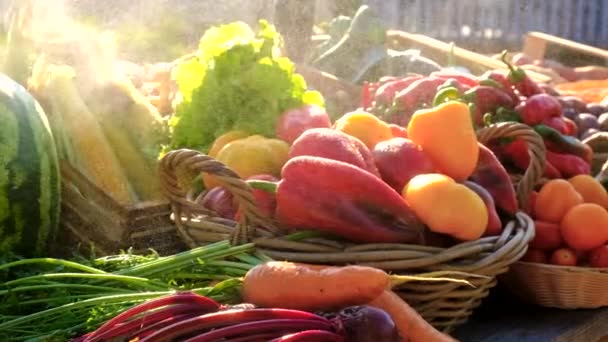 Rocíe Las Verduras Con Agua Enfoque Selectivo Comida — Vídeo de stock