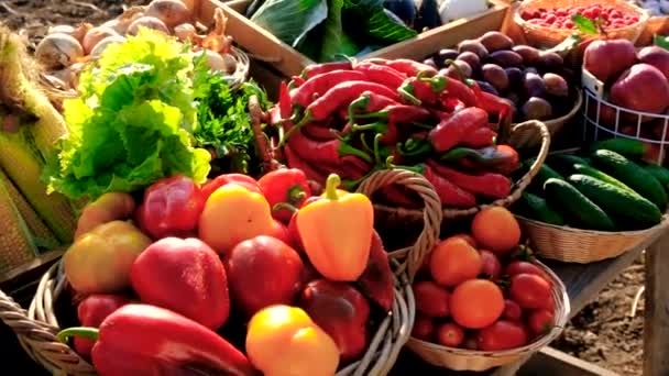 Φρούτα Και Λαχανικά Στην Αγορά Των Αγροτών Επιλεκτική Εστίαση Τρόφιμα — Αρχείο Βίντεο