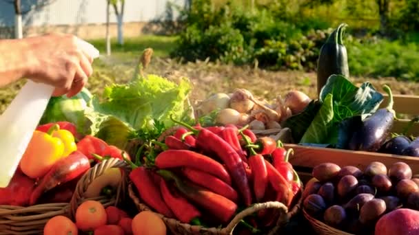Обприскуйте Овочі Водою Вибірковий Фокус Їжа — стокове відео