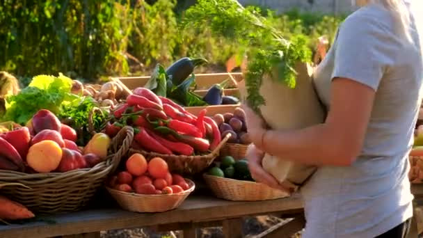 Una Donna Compra Frutta Verdura Mercato Agricolo Concentrazione Selettiva Alimenti — Video Stock