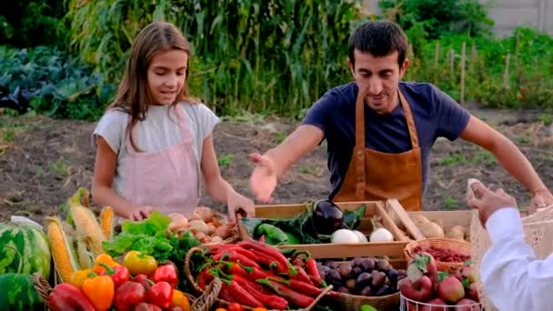 Ojciec Córka Sprzedają Warzywa Owoce Targu Wybiórcze Skupienie Żywność — Wideo stockowe