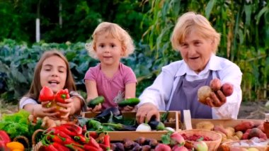 Büyükanne ve torun çiftçi pazarında sebze ve meyve satıyorlar. Seçici odaklanma. yiyecek.