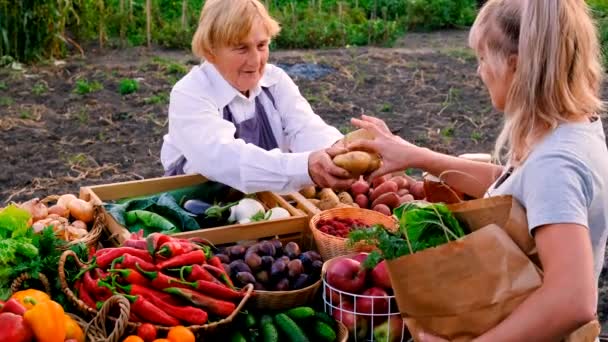 Gammal Kvinnlig Bonde Säljer Grönsaker Och Frukt Marknaden Selektivt Fokus — Stockvideo