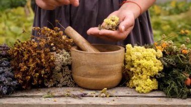 Kadın ve otlar ve kurumuş çiçekler alternatif tıp ve tıbbi çay. Seçici odaklanma. Doğa.