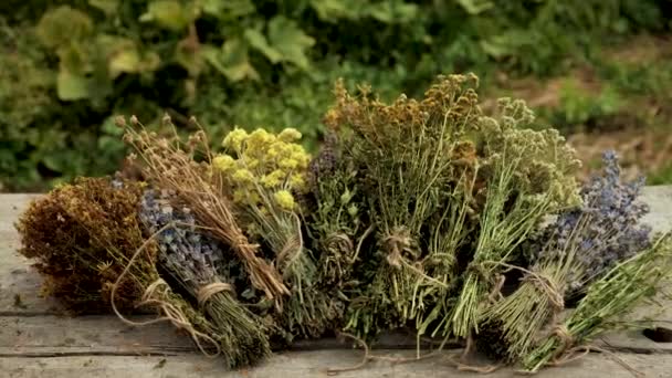 乾燥したハーブと花の代替薬と薬用紅茶 選択的な焦点 ネイチャー — ストック動画