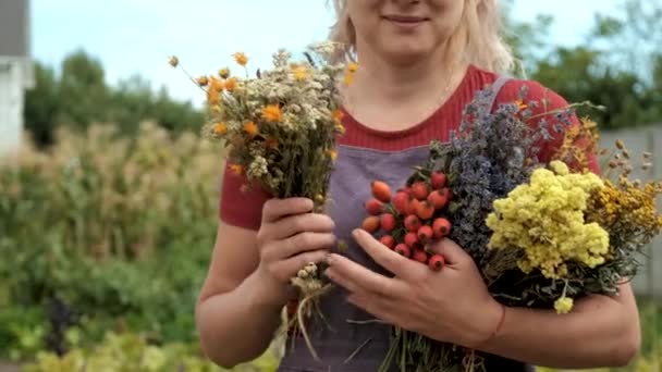 Vrouw Kruiden Gedroogde Bloemen Alternatieve Geneeskunde Geneeskrachtige Thee Selectieve Focus — Stockvideo