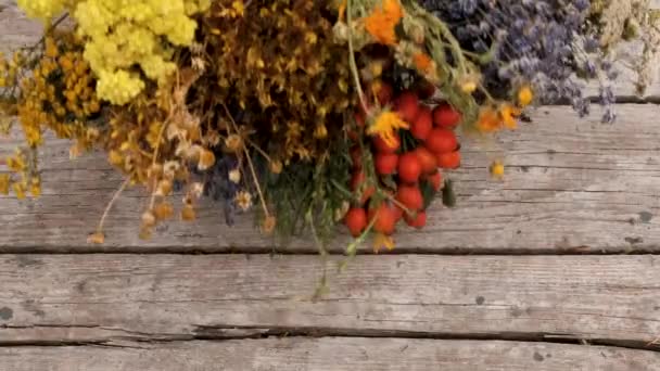 Torkade Örter Och Blommor Alternativ Medicin Och Medicinska Selektivt Fokus — Stockvideo