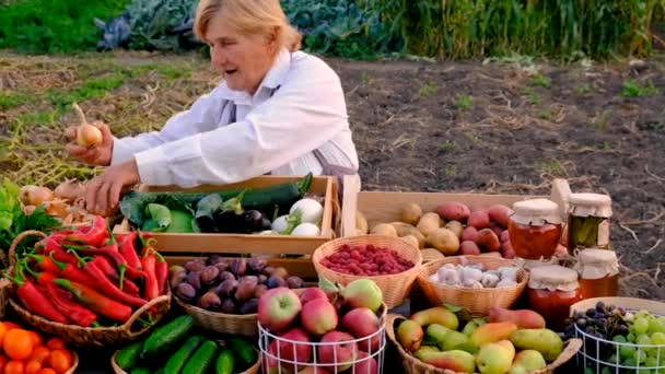 Vecchia Donna Contadina Vende Verdure Frutta Mercato Degli Agricoltori Concentrazione — Video Stock
