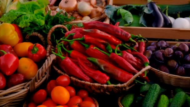 Frukt Och Grönsaker Marknaden Selektivt Fokus Livsmedel — Stockvideo