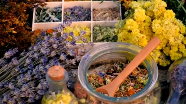 Сушеные Цветы Травы Чай Альтернативная Медицина Выборочный Фокус Природа — стоковое видео