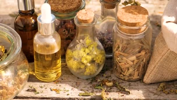 Suszone Zioła Kwiaty Medycyny Alternatywnej Herbaty Leczniczej Wybiórcze Skupienie Przyroda — Wideo stockowe