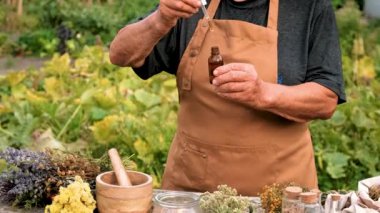 Kadın ve otlar ve kurumuş çiçekler alternatif tıp ve tıbbi çay. Seçici odaklanma. Doğa.