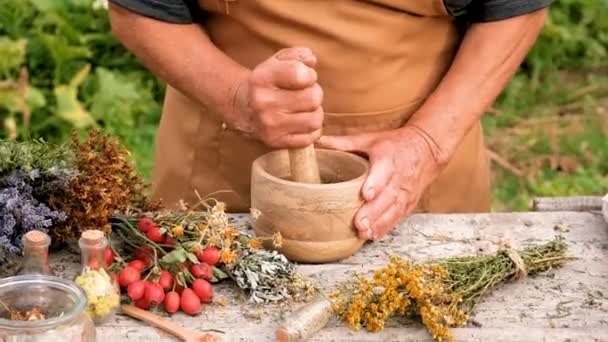 Woman Herbs Dried Flowers Alternative Medicine Medicinal Tea Selective Focus — Stock Video